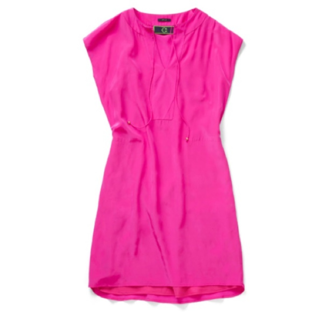 C. Wonder Bright Pink/Fuchsia Silk Dress with Slip